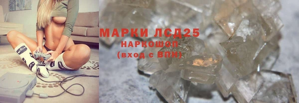 гидра Краснослободск