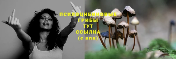 не бодяженный Краснотурьинск