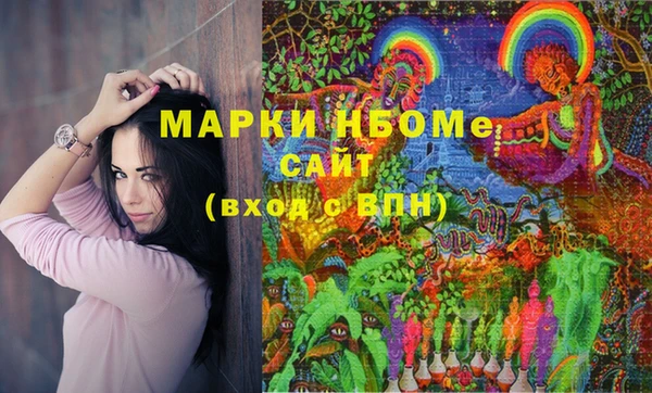 гидра Краснослободск