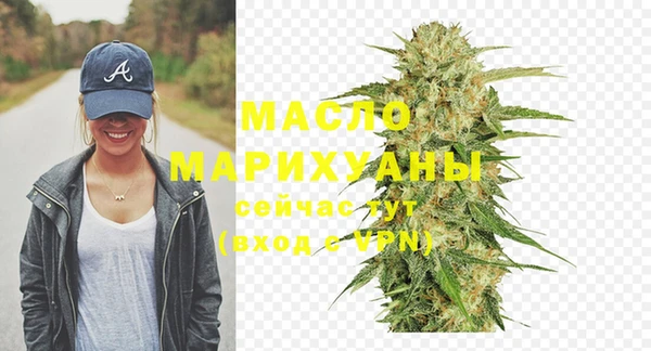 гидра Краснослободск
