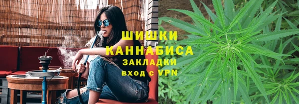 гидра Краснослободск