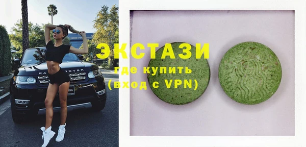 гидра Краснослободск